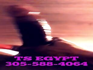 BLACK TS EGYPT CUM