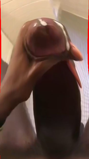 GIGA CUM